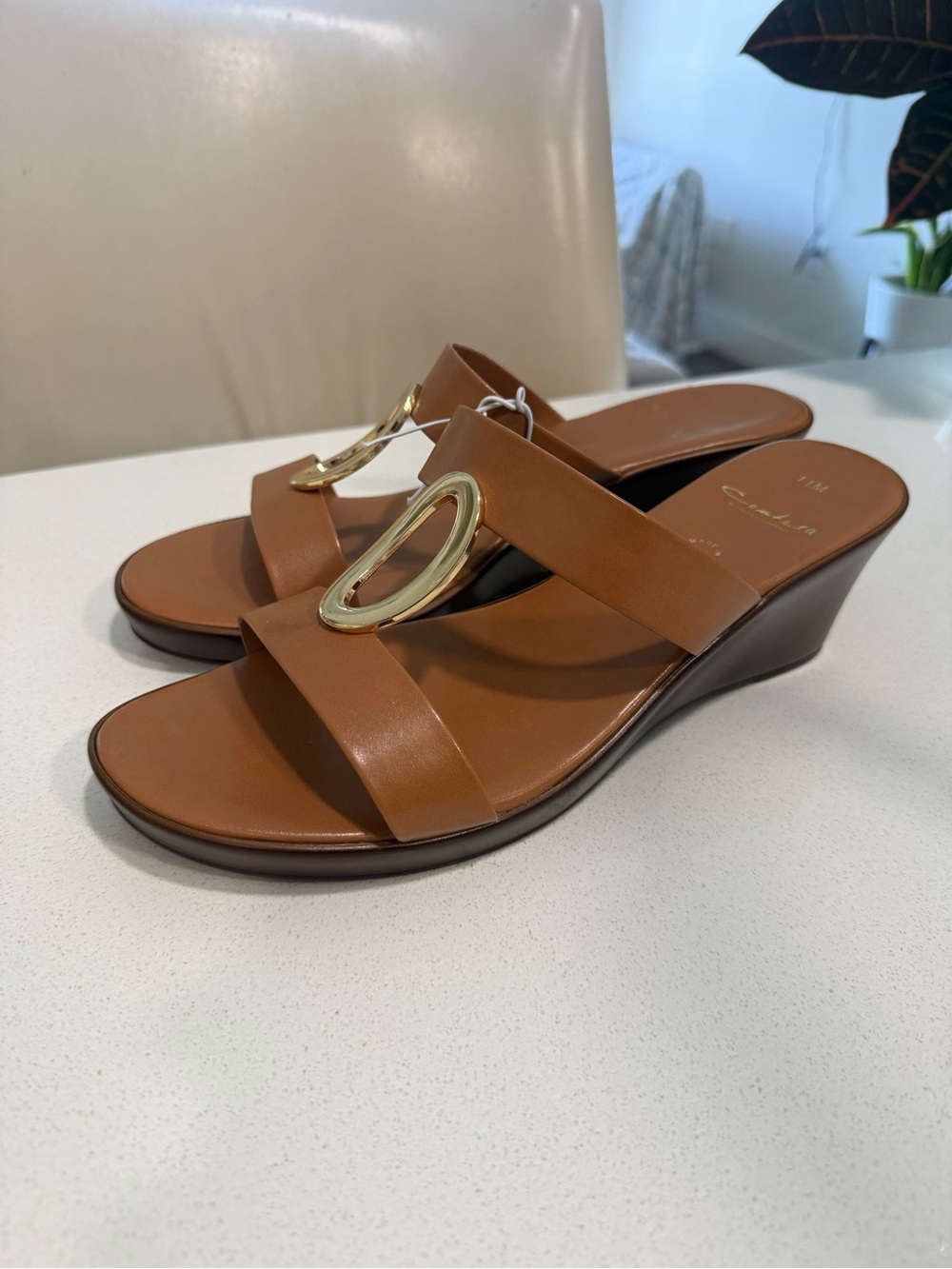 Women’s Tan Wedge Slide Sandals with Gold Accent